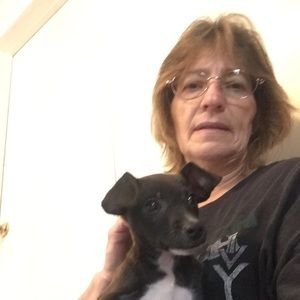 Meet your Posher, Carol